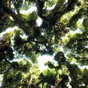 Meet your Posher, Chrissy